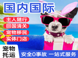 海口机场快递国际宠物托运 【国